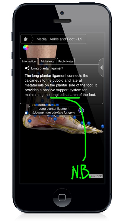 Ankle & Foot Pro III - iPhone Edition