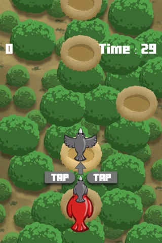 Ace Tiny Bird - The Adventure of Snappy Bouncing FREE GAME screenshot 2