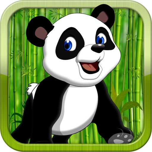 Panda Bear Baby Run - Addictive Animal Running Game