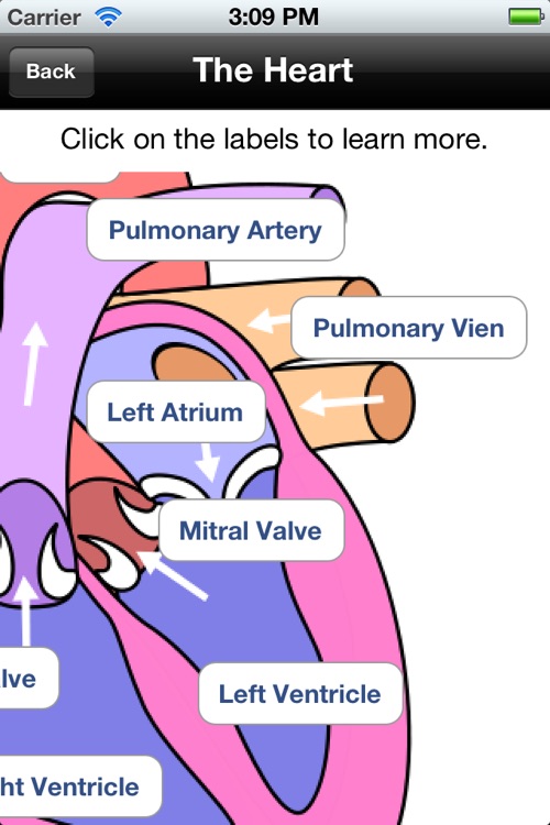 The Body - Human Anatomy Learning Tool & Quiz screenshot-3