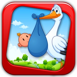 Deliver the Baby to the Doctor by the Stork Bird - fun game