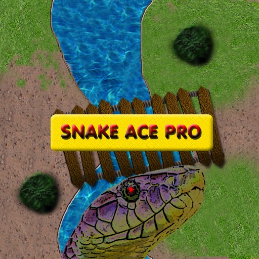 Snake Ace Pro