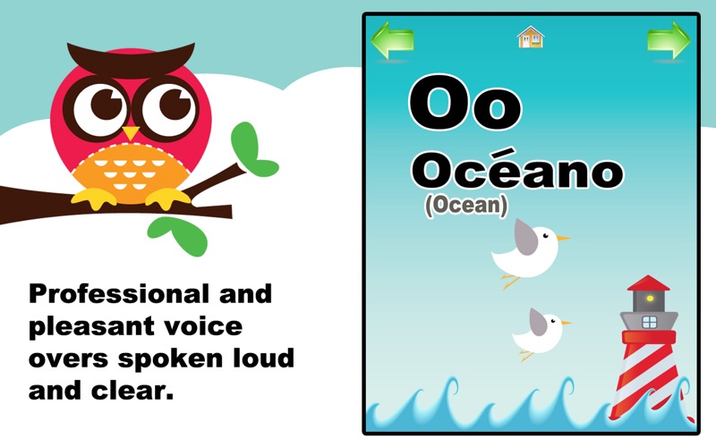ABC Owl: Spanish thumbnail 3