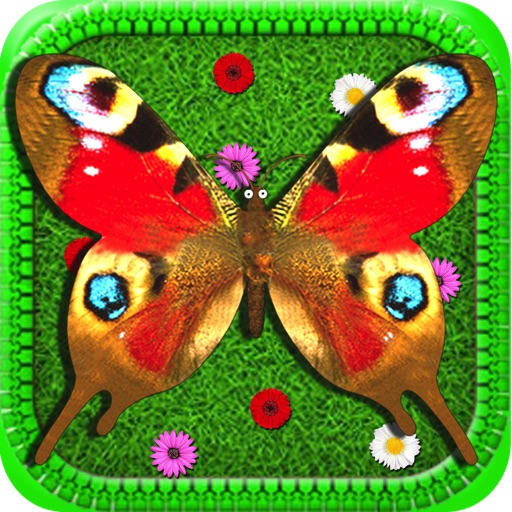 Butterfly! iOS App