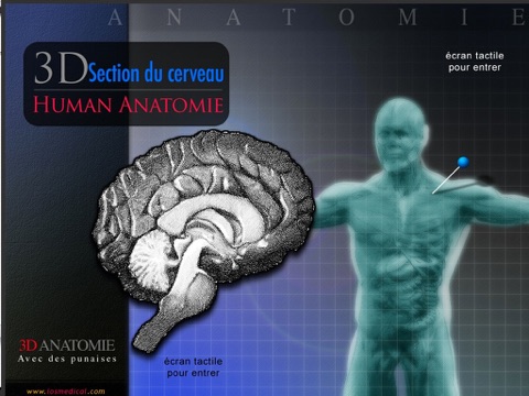 Section du Cerveau screenshot 4