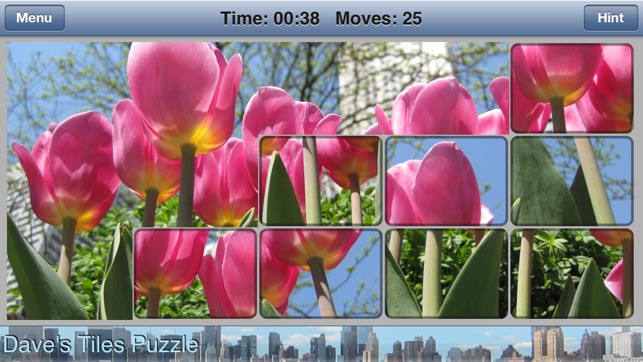 Dave's Tiles Puzzle Lite(圖2)-速報App