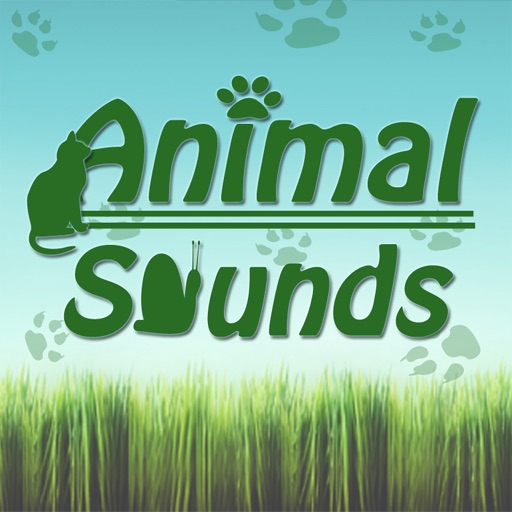 Animal Sounds + icon