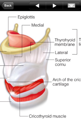 Miniatlas Anatomy screenshot-3