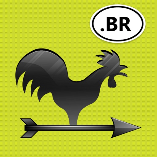 Weather Station .BR icon