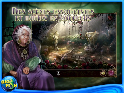 Otherworld: Spring of Shadows Collector's Edition HD (Full) screenshot 2