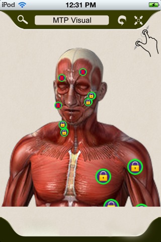 Muscle Trigger Points - Visually Interactive screenshot 2