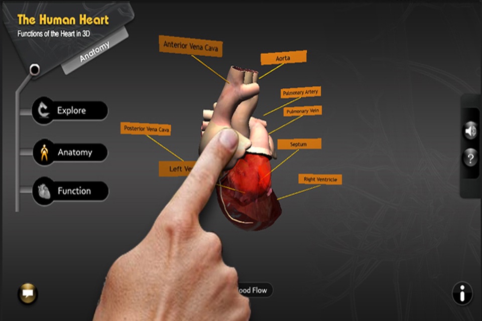 Explore the Heart in 3d screenshot 2