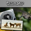 Picture Quiz Match