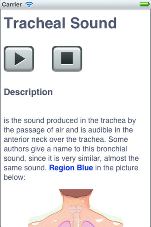 Pulmonary Auscultation