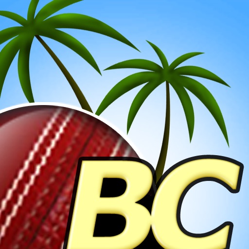 Beach Cricket Pro Icon