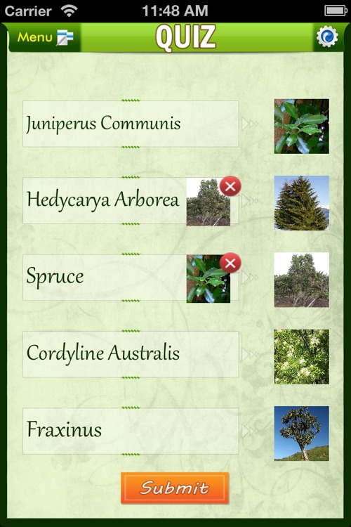 Trees Atlas screenshot-3