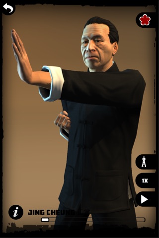 Ip Man Wing Chun Kung Fu : SLT screenshot 2