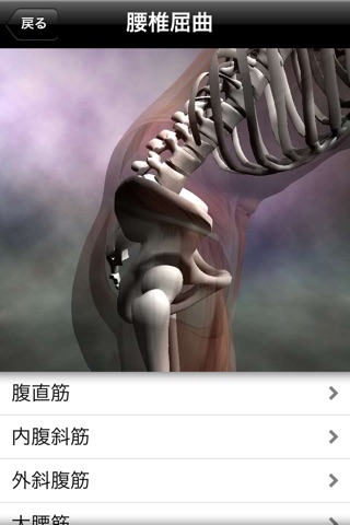 筋の解剖学 screenshot1