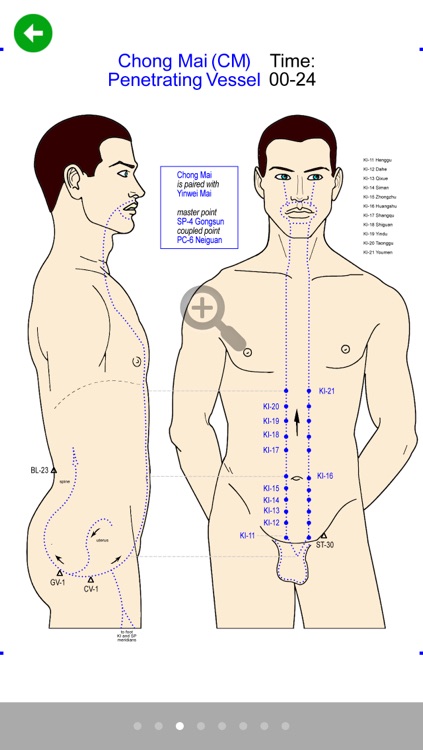 Daily Qi-Flow Circuit