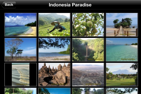 Indonesia Paradise screenshot 3