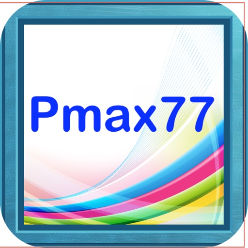 Pmax mini
