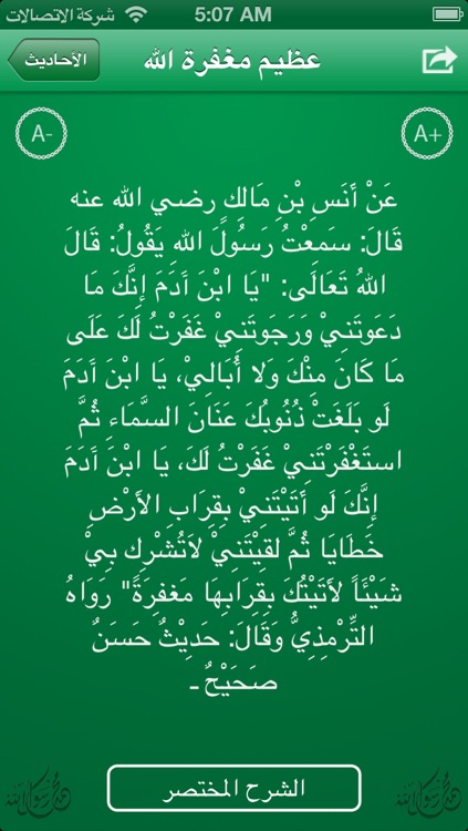 الأربعون النووية