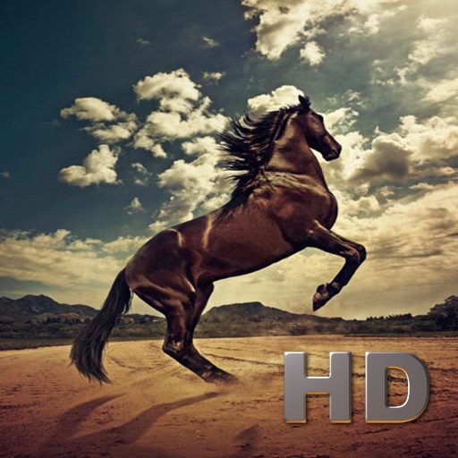 Horse Collection HD