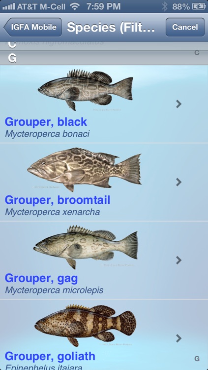 IGFA Mobile