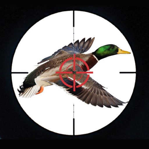 Duck Hunter 3D icon