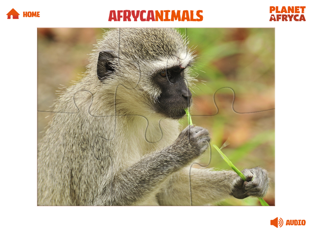 Afrycanimals(圖3)-速報App