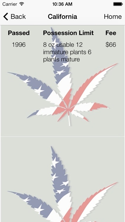 USA Marijuana Laws State by State screenshot-3