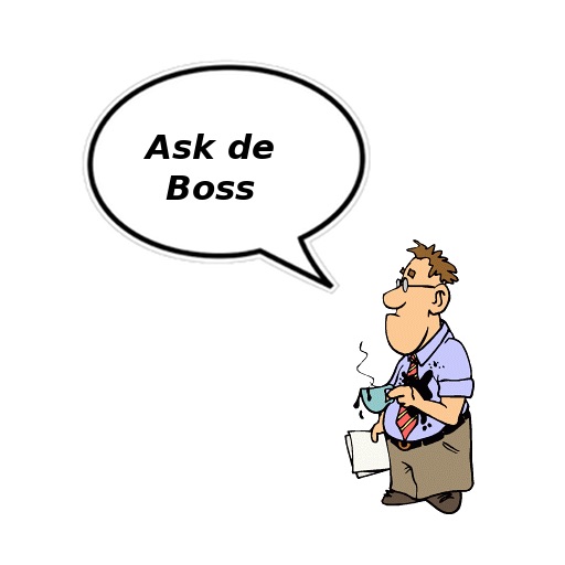 Ask de Boss iOS App
