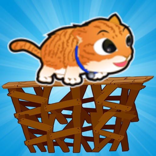 Rickety Bridge - A Running Animal Adventure Jumping Game icon