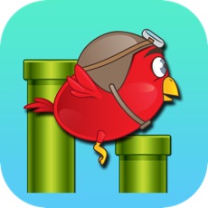 Activities of Tappy Bird Junior