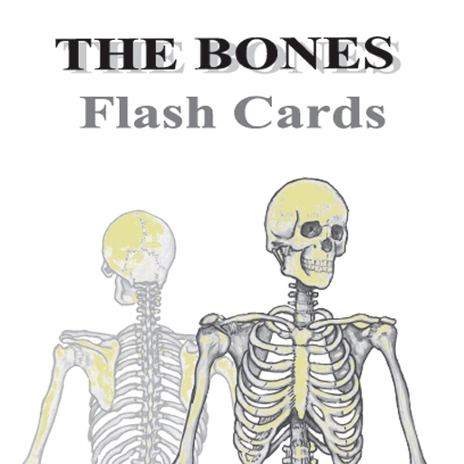 Bones Anatomy Flash Cards by Bryan Edwards / iPad Edition icon