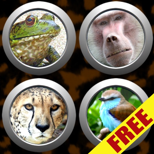 Animal Button Box FREE icon