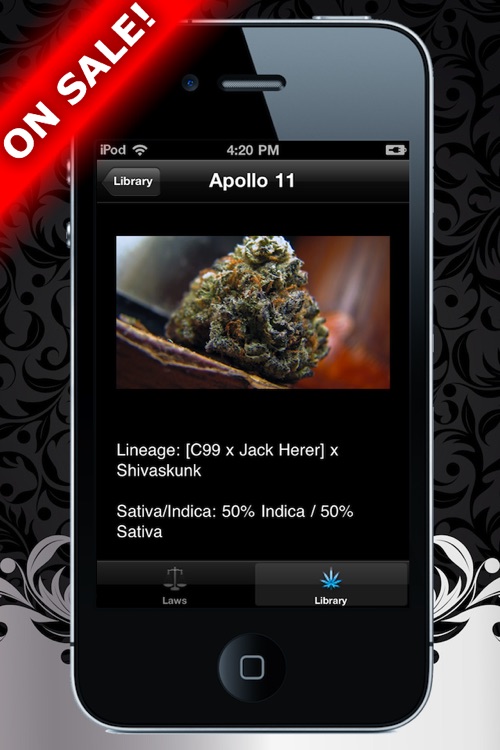 Medical Marijuana