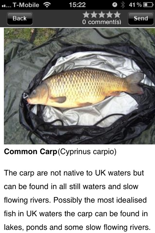 Fish Records screenshot-4