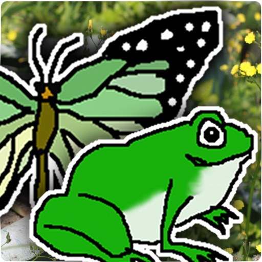 Butterfly or Frog iOS App