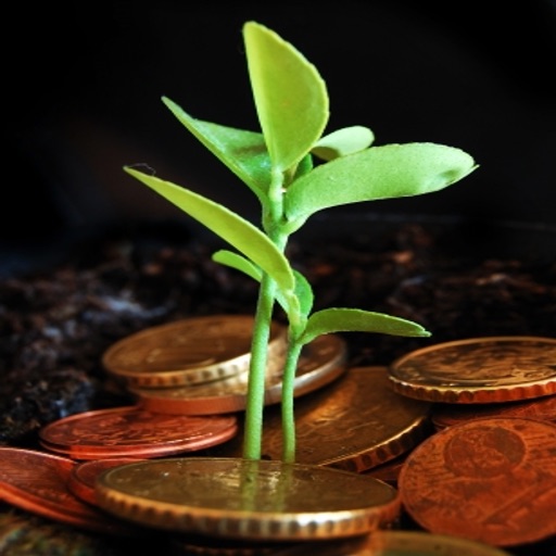 LDS Financial Guide