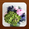 Hong Kong Flower Shops 香港花店 目錄 Florists catalogue