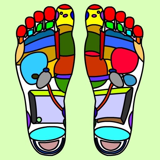 FootChartCam icon