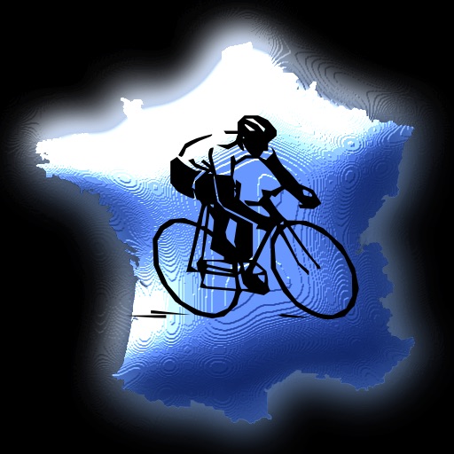 France 2010 icon