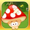 蘑菇很忙