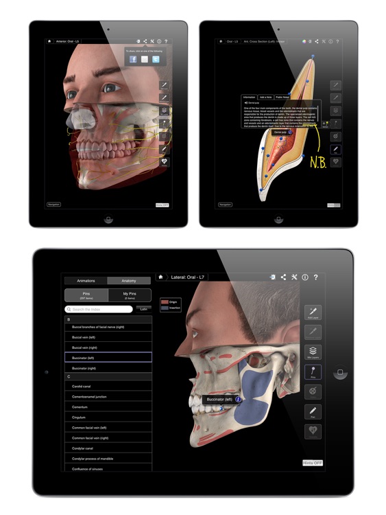 Dental Patient Education