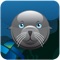 Dive into an energy adventure and experience a colourful, entertaining and educational undersea world with Miya, the Australian Sea-lion pup, in Ausgrid’s exciting new game