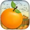 Control the orange and help him avoid obstacles by jumping over them by tapping the screen