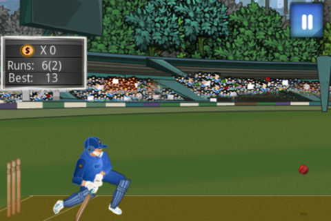 Crazy Cricket screenshot 2