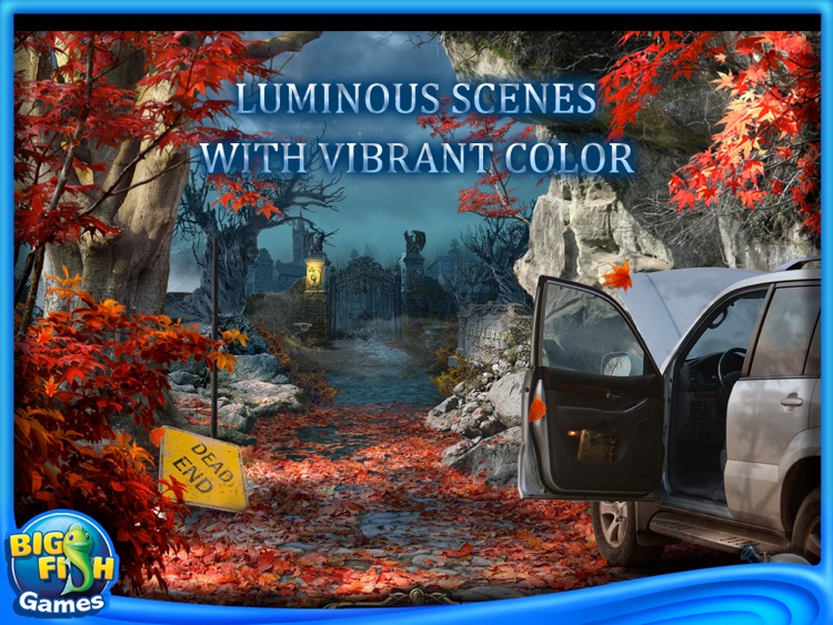 Dark Dimensions: City of Fog HD (Full)