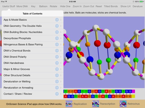 OnScreen DNA Model screenshot 2
